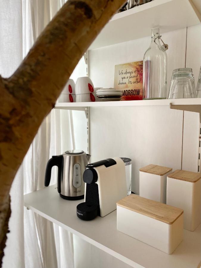 アルクマール Casa De Palmas - Tiny Houseヴィラ エクステリア 写真